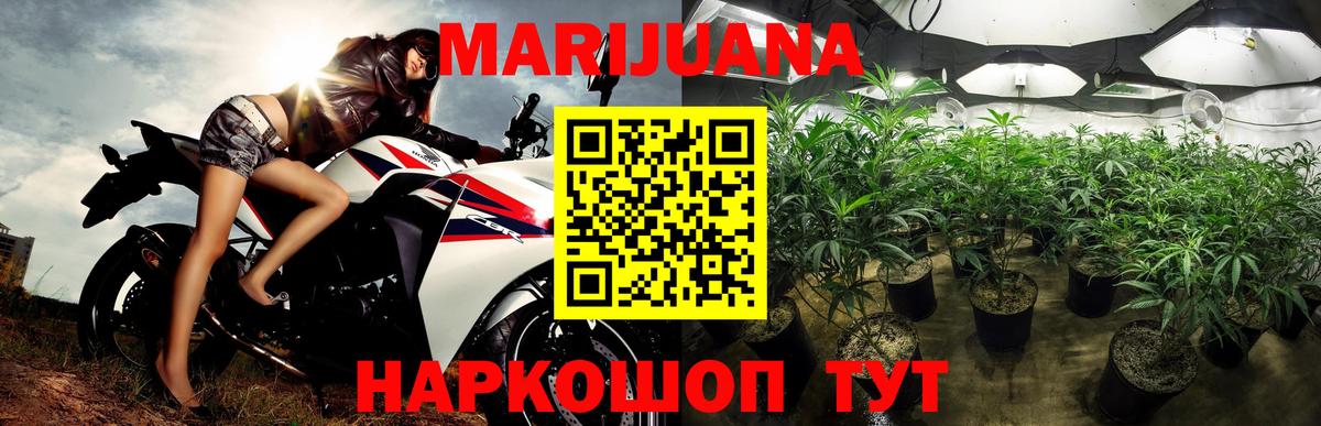 МАРИХУАНА SATIVA & INDICA  Бошки марихуана план  Вход с VPN  Каннабис OG Kush  МАРИХУАНА LSD WEED  Серпухов 